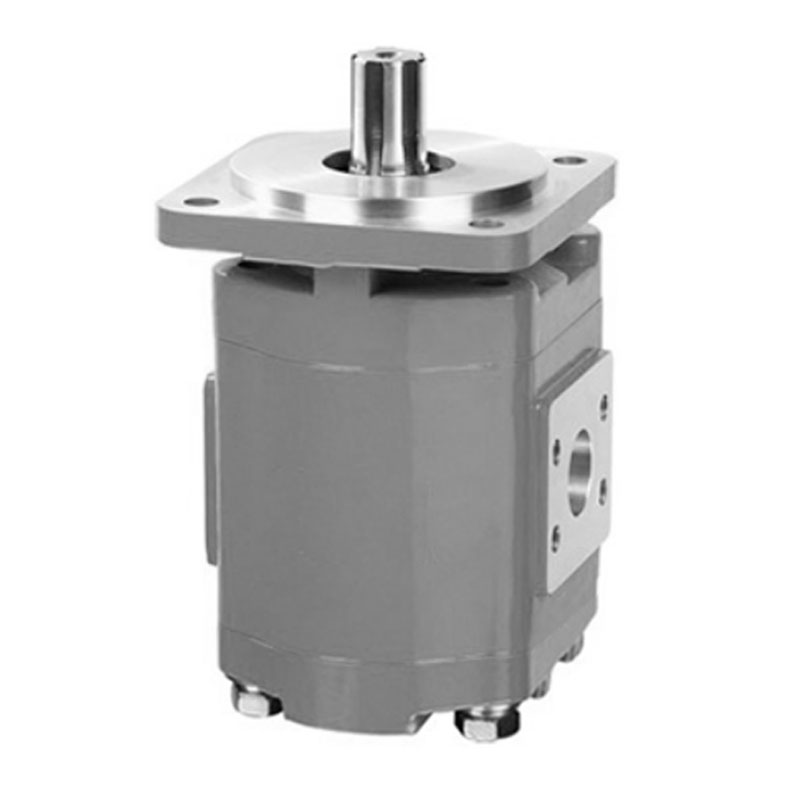 Ingénierie Pupm CBG-F2 Pompe hydraulique de la pompe à fourche